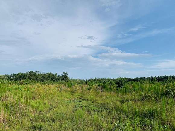 96.4 Acres of Land for Sale in Loris, South Carolina
