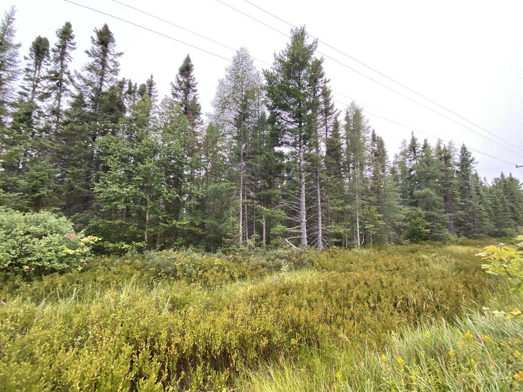 5.8 Acres of Residential Land for Sale in Paradise, Michigan
