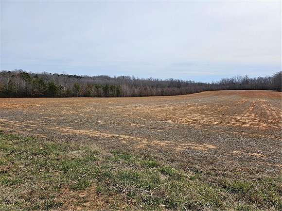 25 Acres of Agricultural Land for Sale in Kernersville, North Carolina