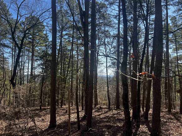 0.25 Acres of Residential Land for Sale in Hot Springs Village, Arkansas