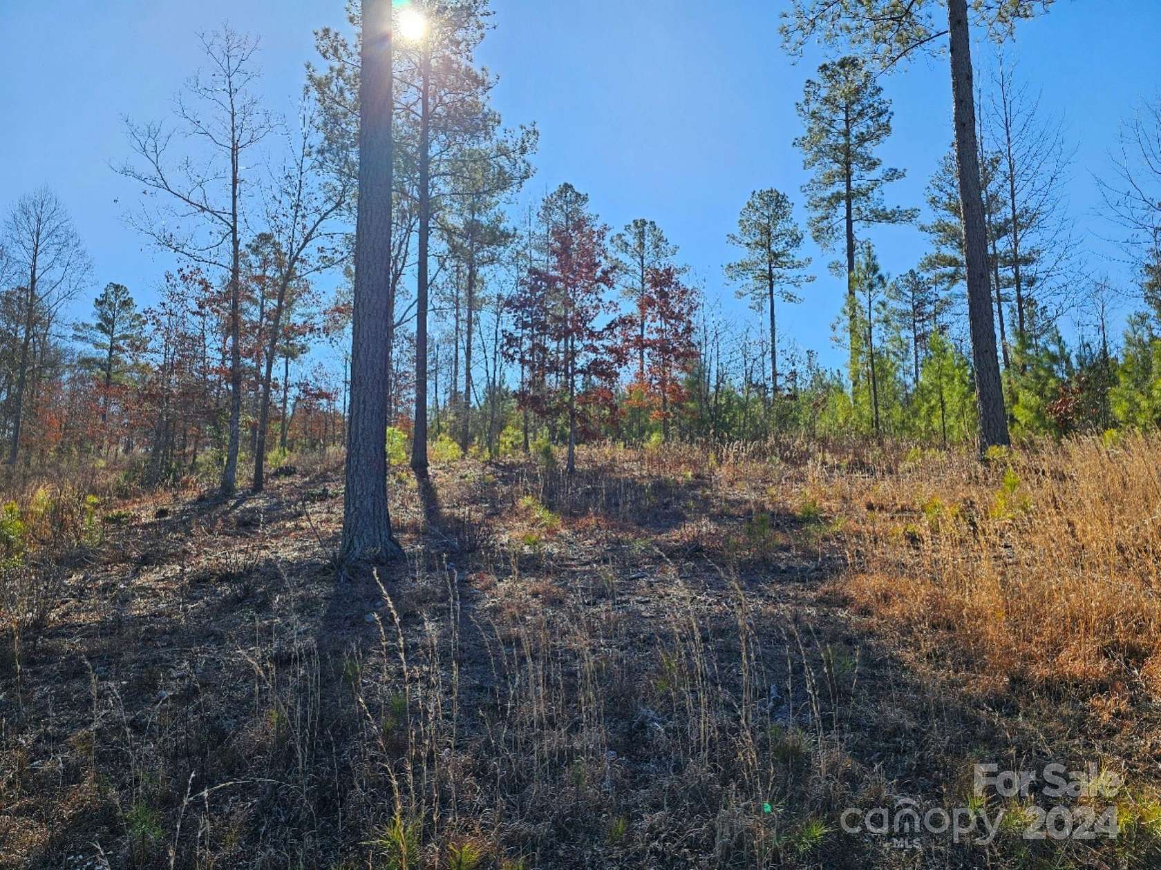 1.9 Acres of Land for Sale in Connelly Springs, North Carolina