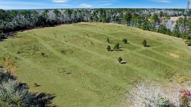 11.2 Acres of Land for Sale in Wewahitchka, Florida