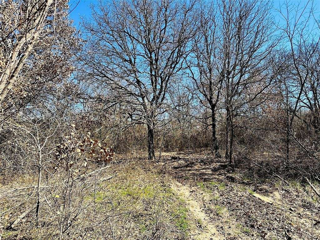 2.4 Acres of Land for Sale in Rising Star, Texas