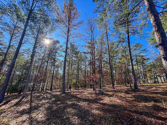 320 Acres of Recreational Land with Home for Sale in Burkeville, Texas