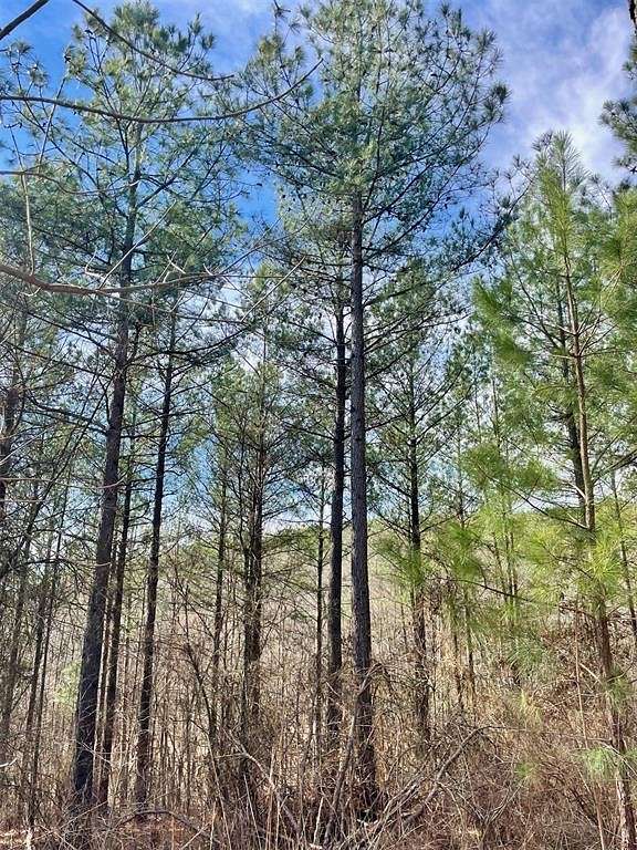 2.561 Acres of Residential Land for Sale in Broken Bow, Oklahoma