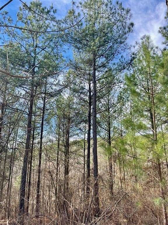 2.56 Acres of Residential Land for Sale in Broken Bow, Oklahoma