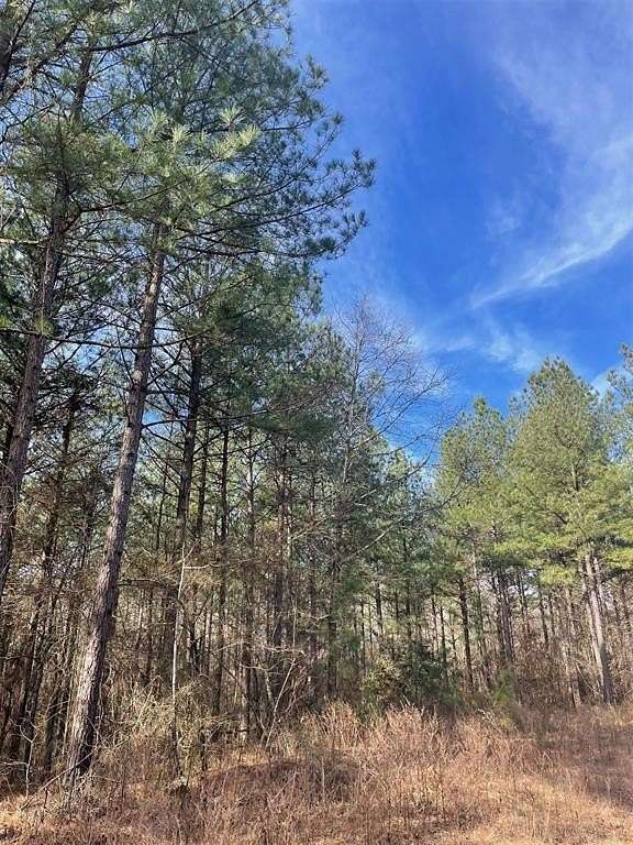 1.24 Acres of Residential Land for Sale in Broken Bow, Oklahoma