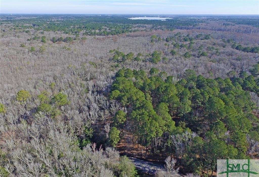26.5 Acres of Land for Sale in Rincon, Georgia