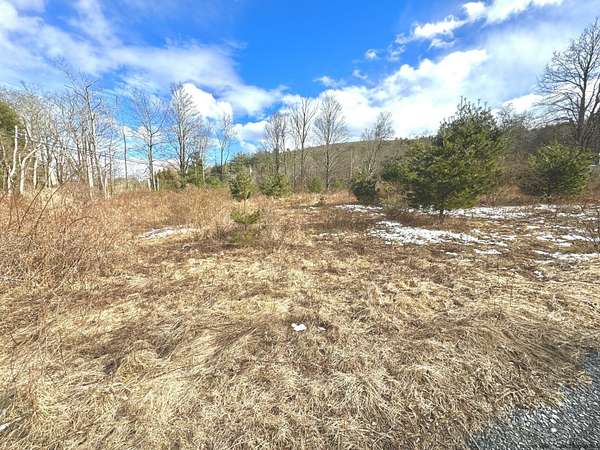 3 Acres of Residential Land for Sale in Bearsville, New York
