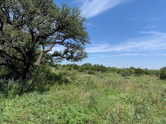 22.3 Acres of Recreational Land for Sale in Eden, Texas