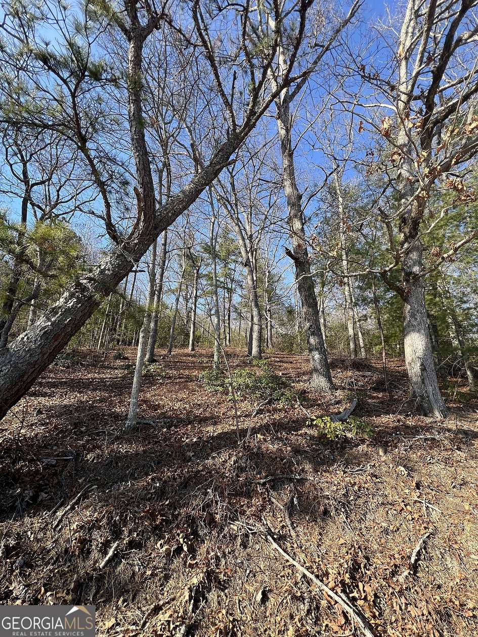 2.9 Acres of Residential Land for Sale in Dillard, Georgia