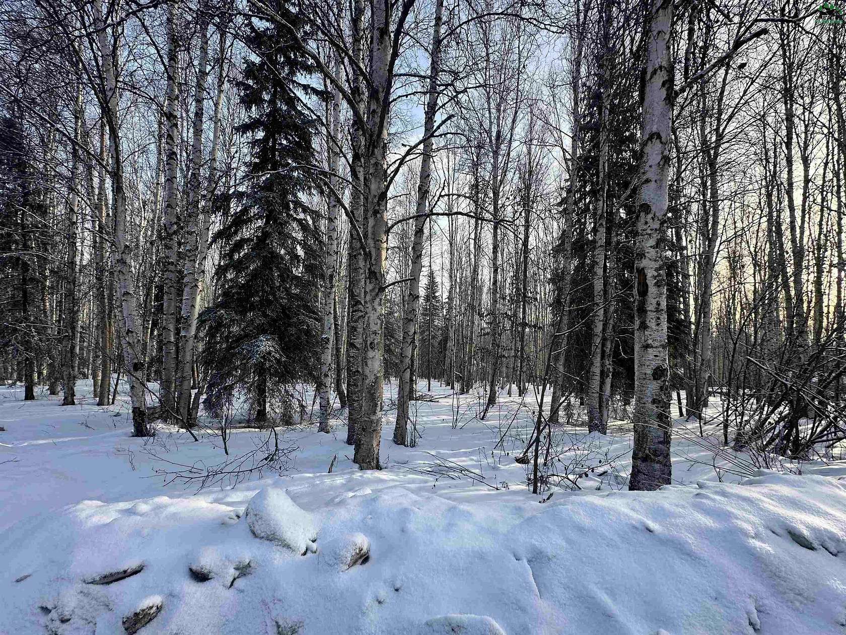 Residential Land for Sale in Fairbanks, Alaska