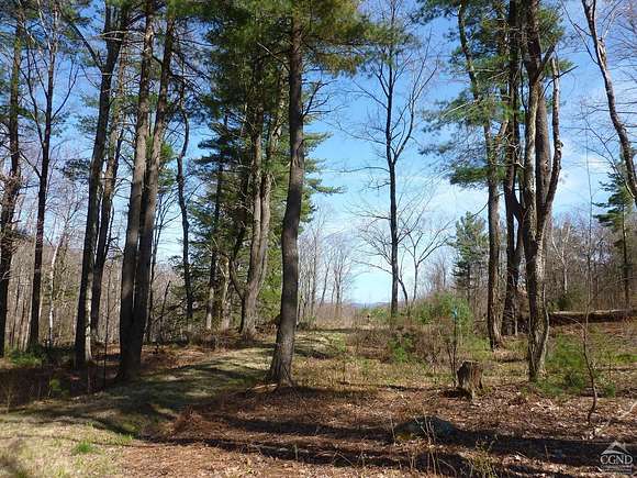 23 Acres of Land for Sale in Hillsdale, New York
