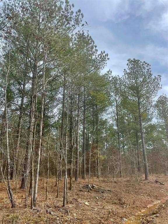 1.2 Acres of Residential Land for Sale in Broken Bow, Oklahoma