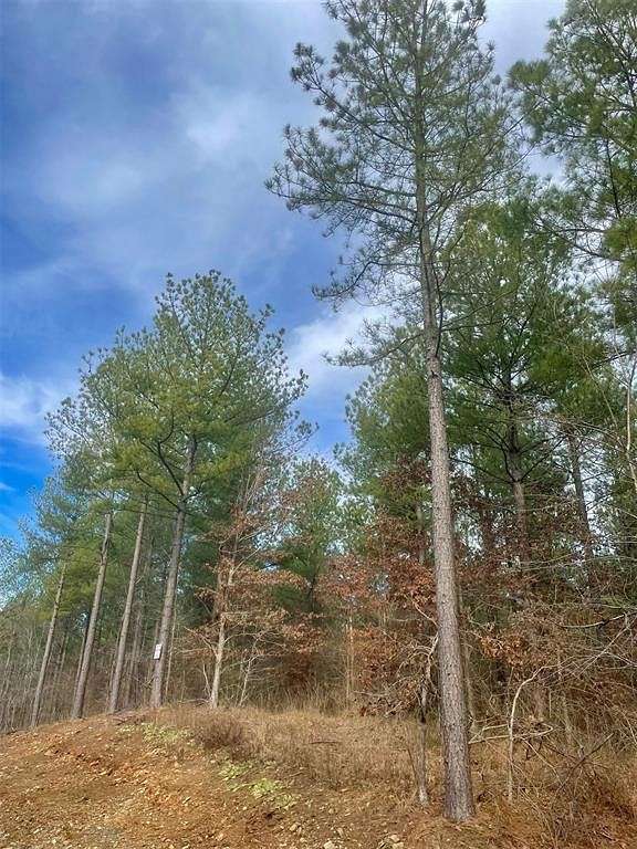 1.2 Acres of Residential Land for Sale in Broken Bow, Oklahoma