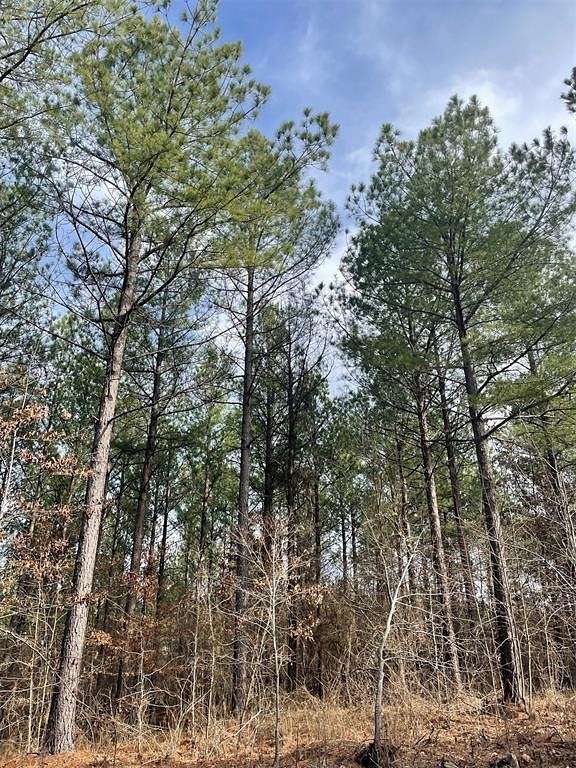 1.33 Acres of Residential Land for Sale in Broken Bow, Oklahoma