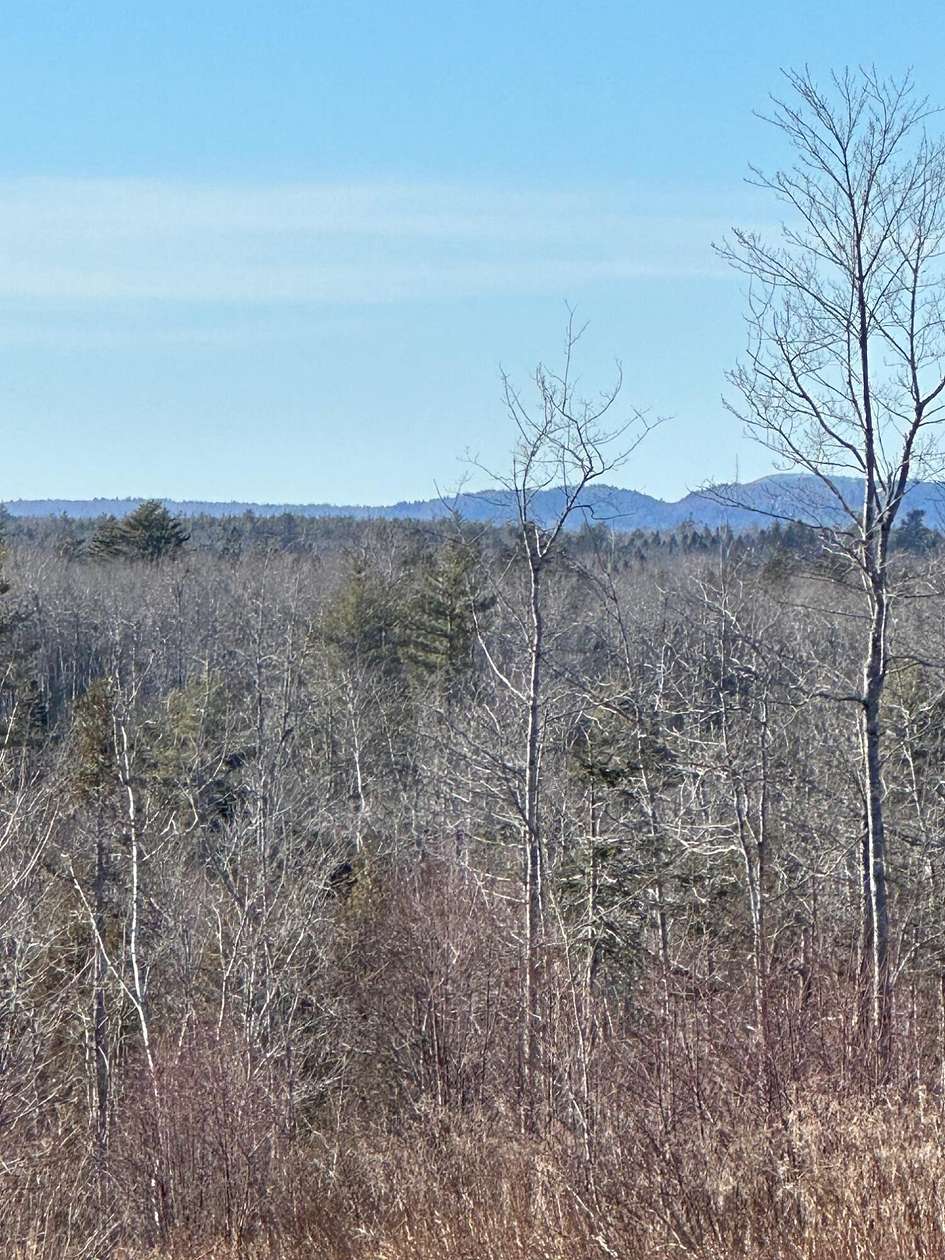 80 Acres of Land for Sale in Milbridge, Maine
