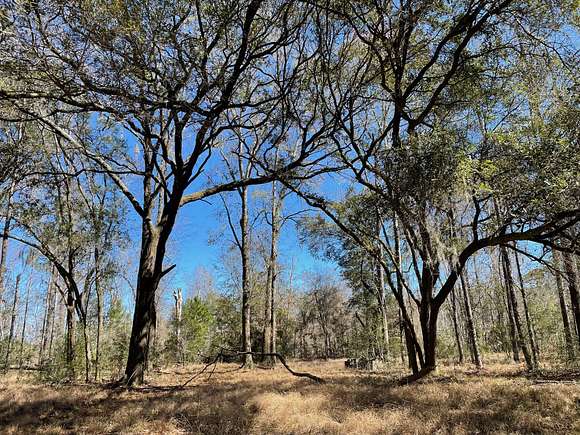 3.2 Acres of Residential Land for Sale in Edisto Island, South Carolina
