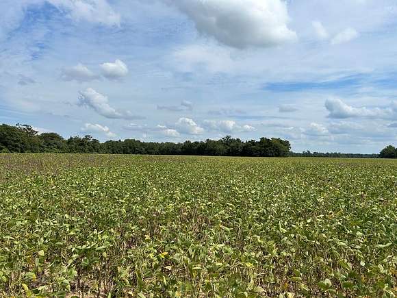 185 Acres of Land for Sale in Coahoma, Mississippi