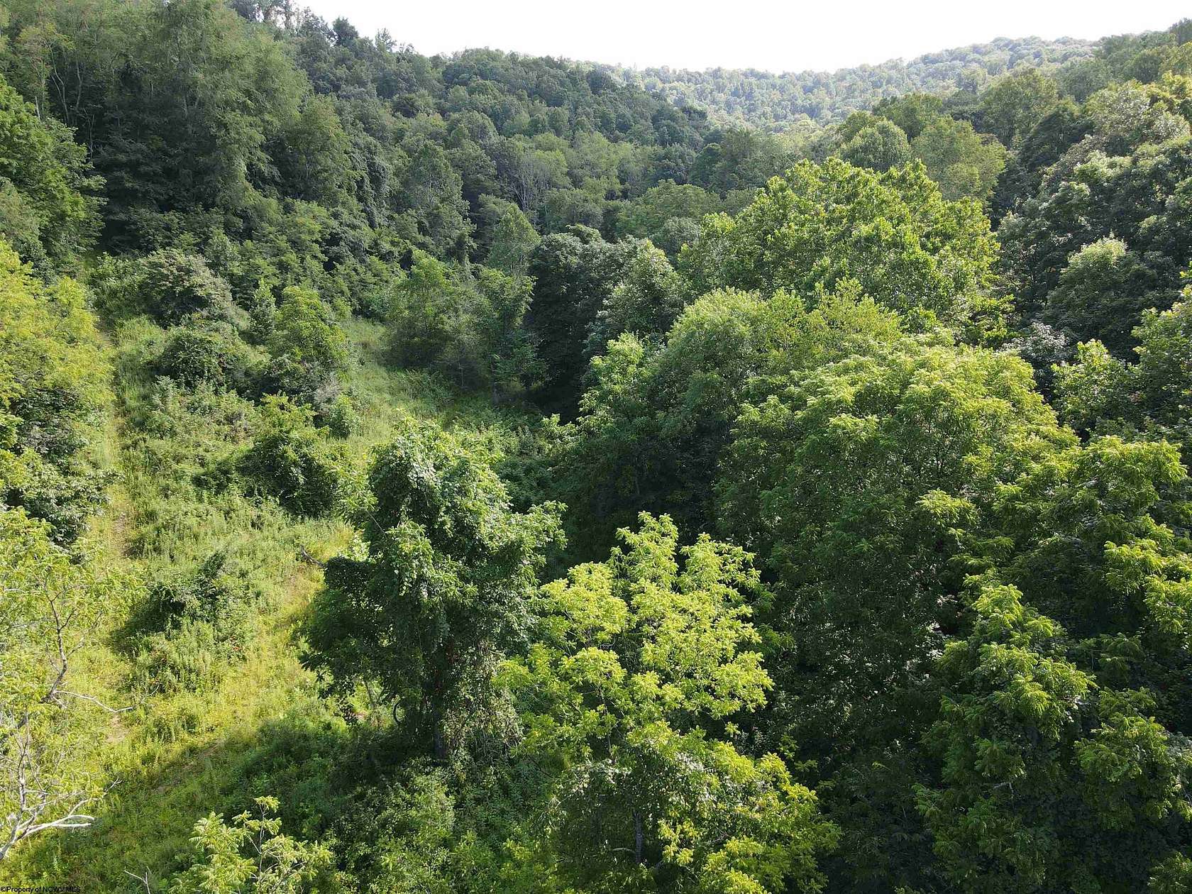121 Acres of Recreational Land for Sale in Maidsville, West Virginia