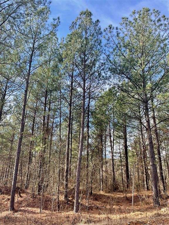 1.262 Acres of Residential Land for Sale in Broken Bow, Oklahoma