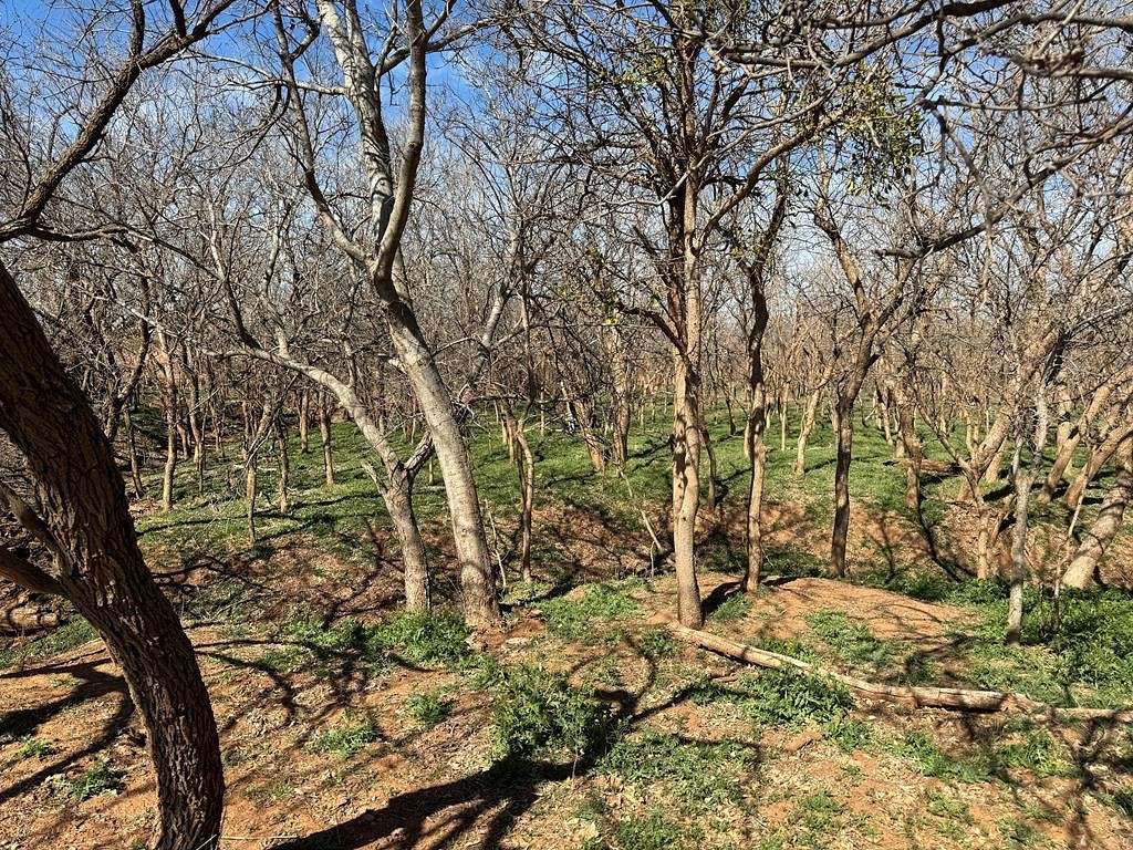 318 Acres of Agricultural Land for Sale in Snyder, Texas