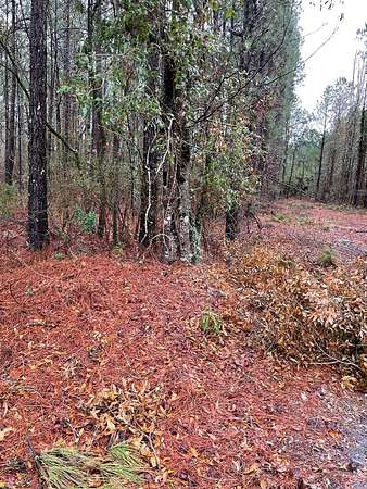 0.86 Acres of Land for Sale in Manning, South Carolina
