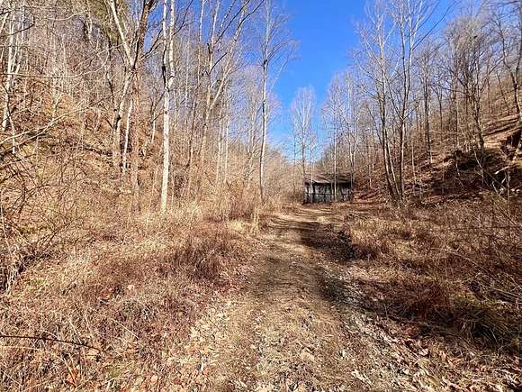 200 Acres of Land for Sale in Salyersville, Kentucky