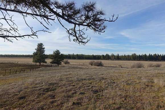 95.2 Acres of Agricultural Land for Sale in Spangle, Washington