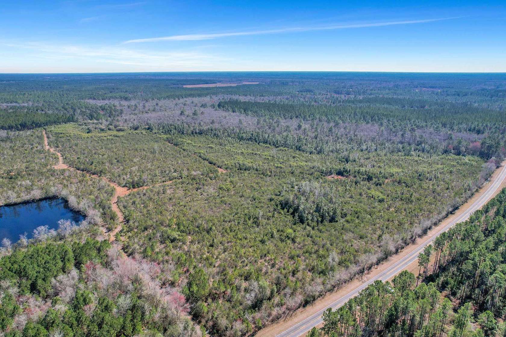 79.6 Acres of Recreational Land & Farm for Sale in Jesup, Georgia