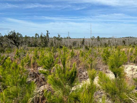 18.3 Acres of Land for Sale in Alford, Florida
