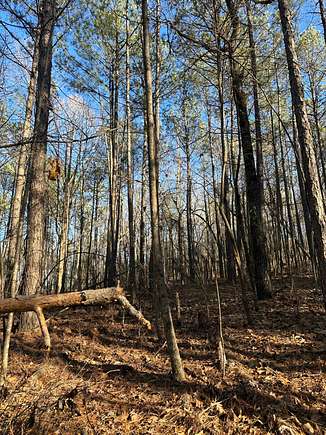 3 Acres of Residential Land for Sale in Opelika, Alabama