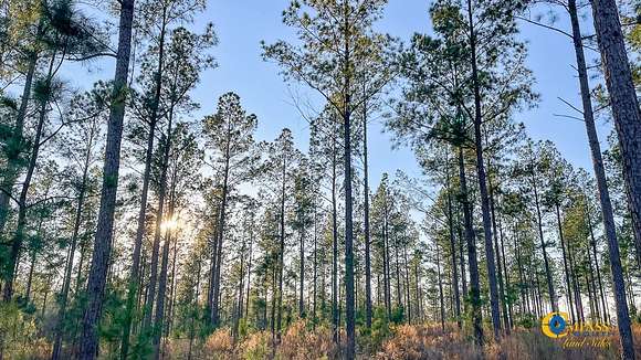 7 Acres of Recreational Land for Sale in Williston, South Carolina