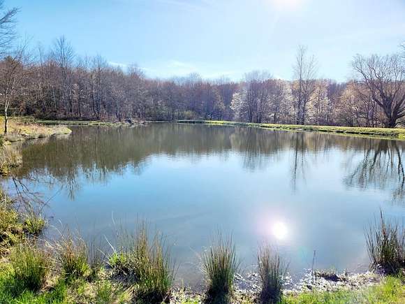 77.5 Acres of Recreational Land with Home for Sale in Warren Center, Pennsylvania