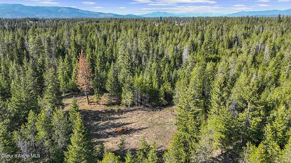 3.09 Acres of Residential Land for Sale in Spirit Lake, Idaho