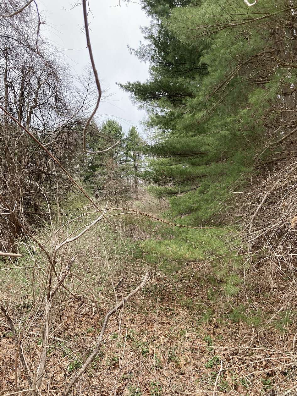 1 Acre of Residential Land for Sale in Pomfret, Connecticut