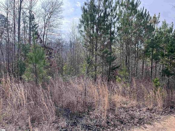 0.58 Acres of Residential Land for Sale in Fair Play, South Carolina