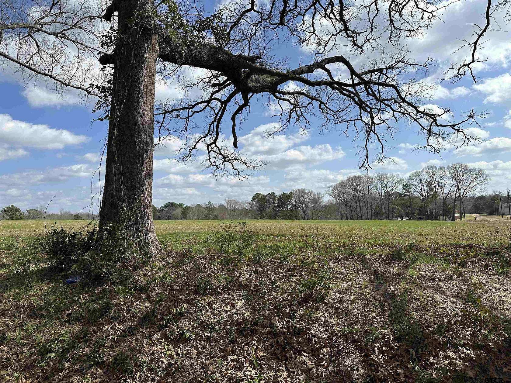 1 Acre of Land for Sale in Henderson, Texas