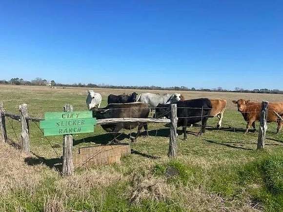 80 Acres of Recreational Land & Farm for Sale in Ganado, Texas