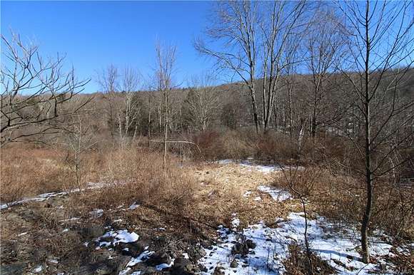 48.1 Acres of Recreational Land for Sale in Callicoon, New York