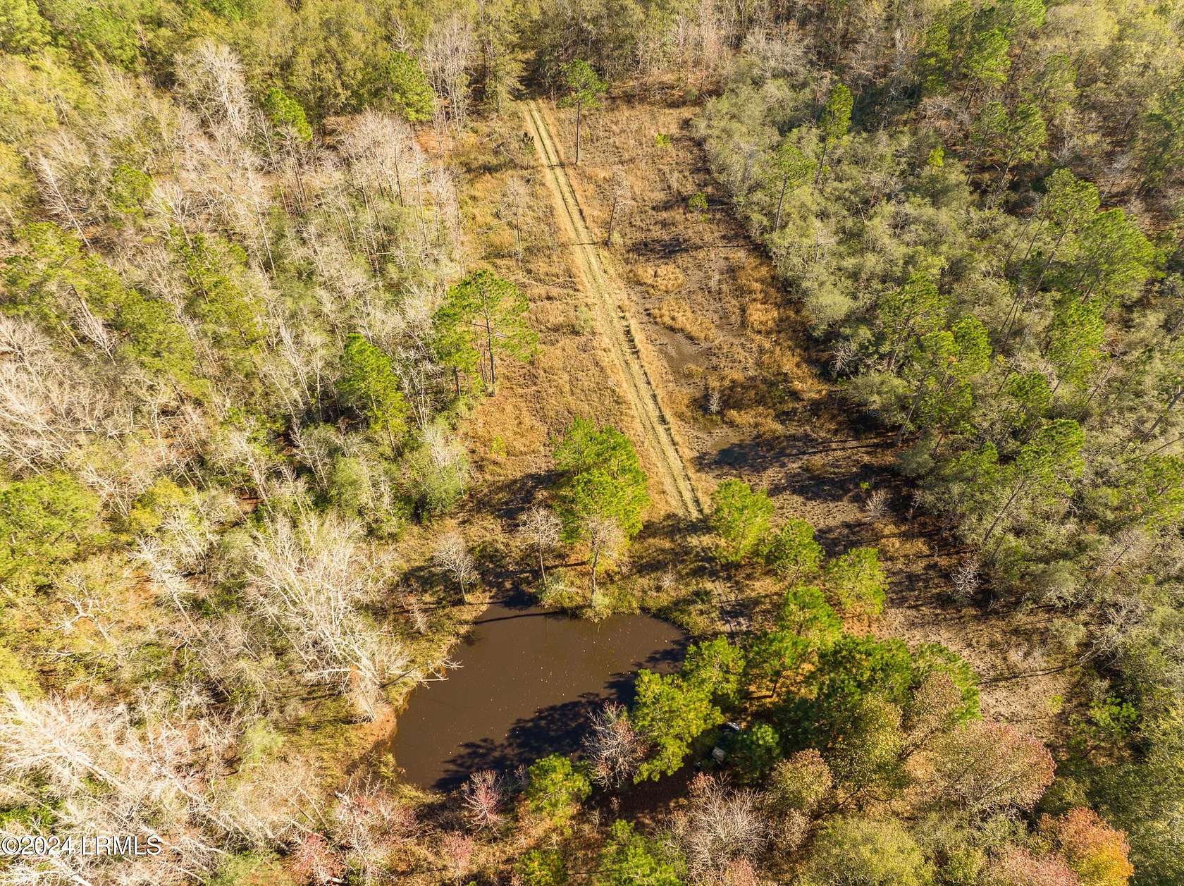 50 Acres of Recreational Land & Farm for Sale in Brunson, South Carolina