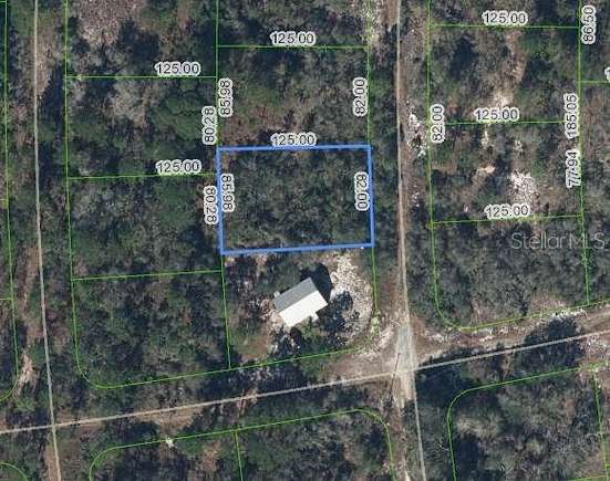 0.24 Acres of Residential Land for Sale in Lake Placid, Florida
