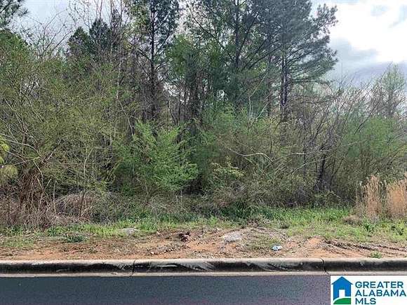 0.36 Acres of Residential Land for Sale in Birmingham, Alabama