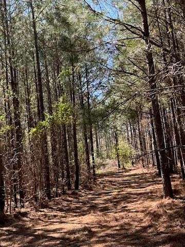 102 Acres of Recreational Land for Sale in Buena Vista, Georgia