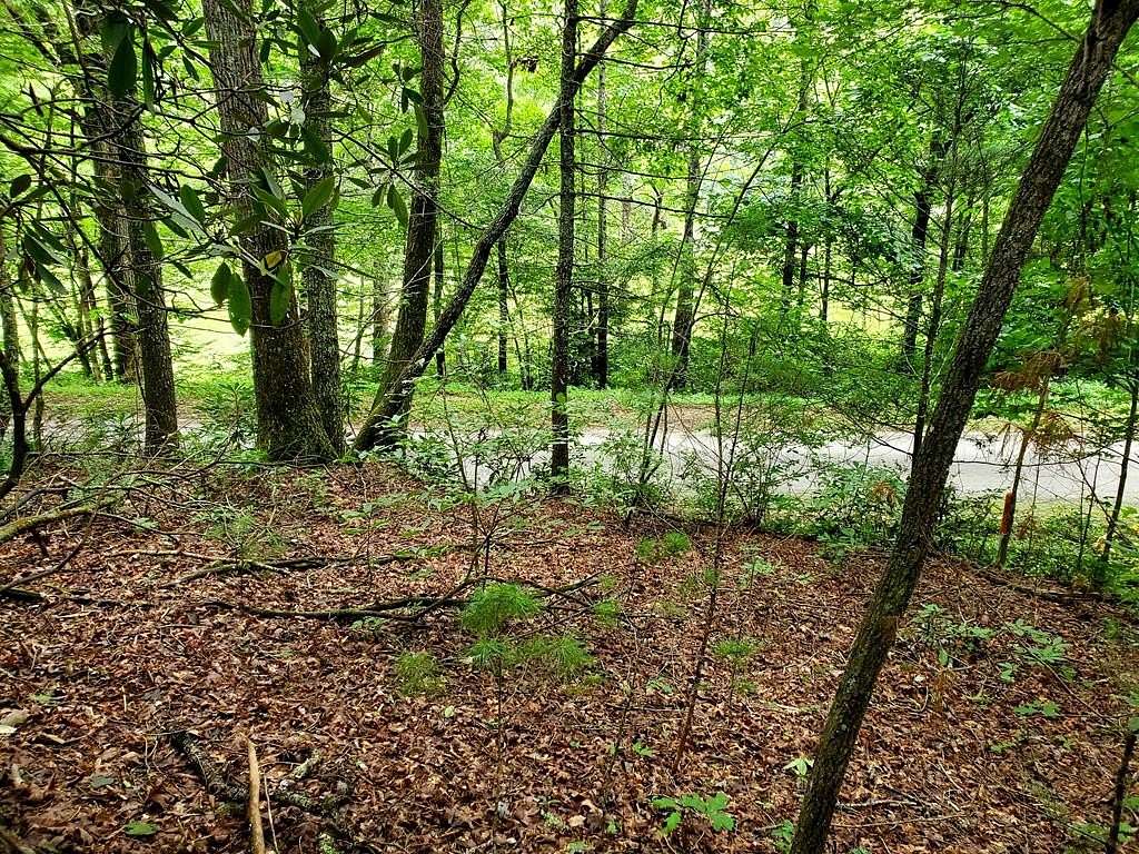 10.7 Acres of Land for Sale in Hiawassee, Georgia