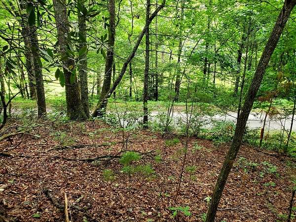 10.7 Acres of Land for Sale in Hiawassee, Georgia