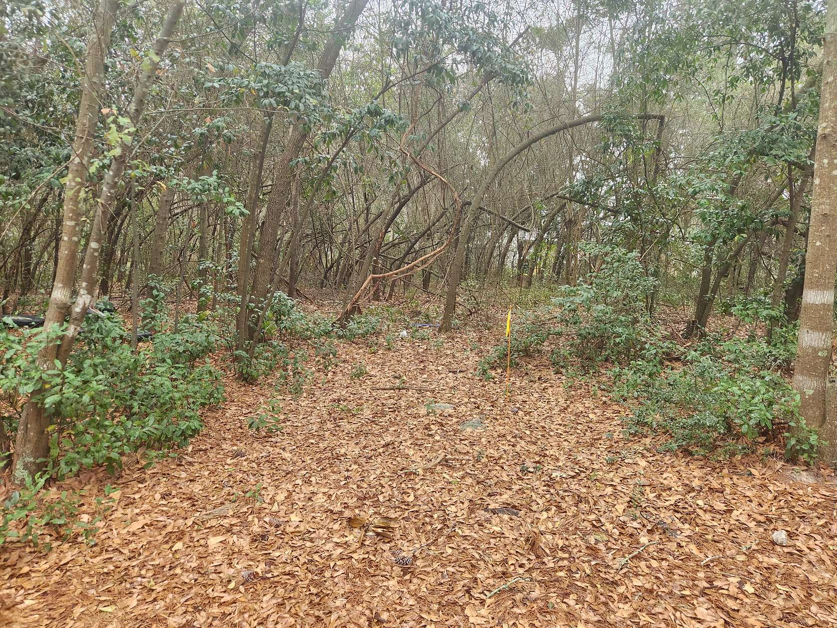 1.9 Acres of Residential Land for Sale in Aiken, South Carolina