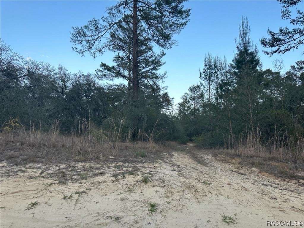 0.23 Acres of Residential Land for Sale in Inverness, Florida