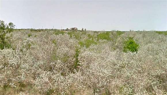 0.47 Acres of Residential Land for Sale in Sandia, Texas