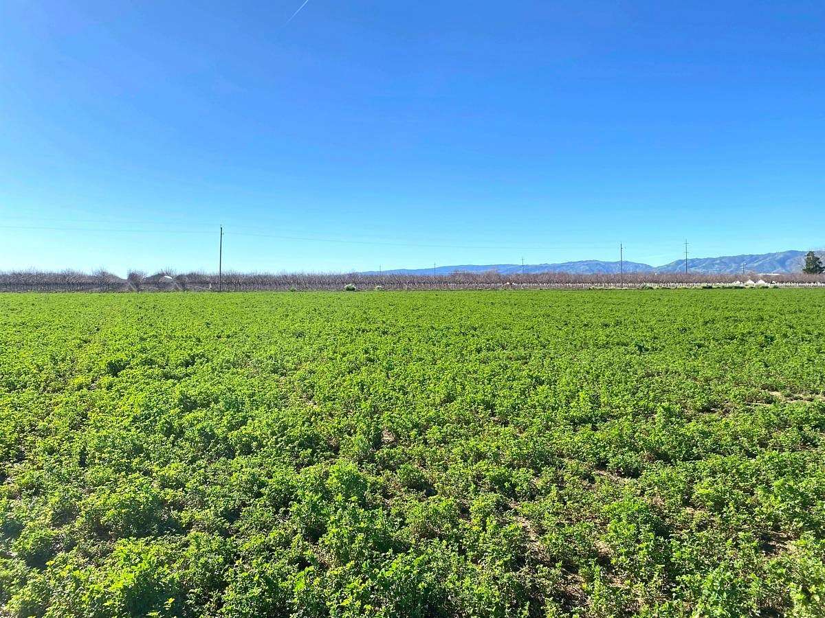 10.4 Acres of Land for Sale in Winters, California